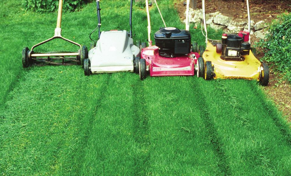 5 Practice natural lawn care It s easy to put all these steps to work on your lawn, where you often use the most pesticides, fertilizer, and water, produce the most waste, and work too hard!