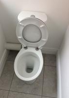 922046451845494 Toilet White toilet