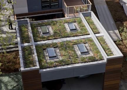 LISTENING GUIDE PODCAST - GREEN ROOFS 1.