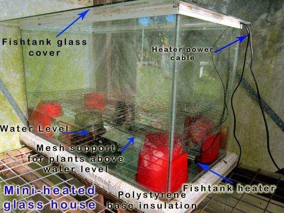 Basic lay out of mini heated glass house (size of fish tank can be increased to grow larger plants in cold climates, reducing heating costs).