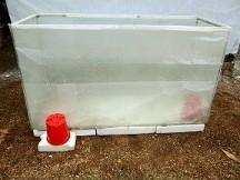 for at least 3 hours will also do I usually sent the fish tank heaters to 20 oc to accommodate heat loss on extremely cold nights, this ensures that the plants will have a humid