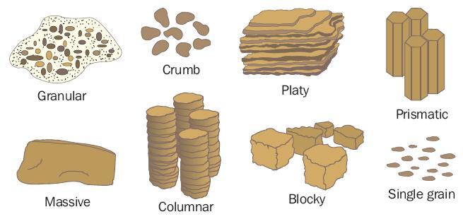 What are the various soil structures, and what do they