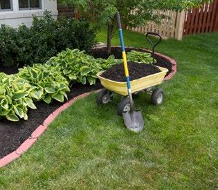 Choose which plant looks healthier and pull out the other plant. Gently pull out the plants you don t want or carefully use small scissors cut the plants near the ground.