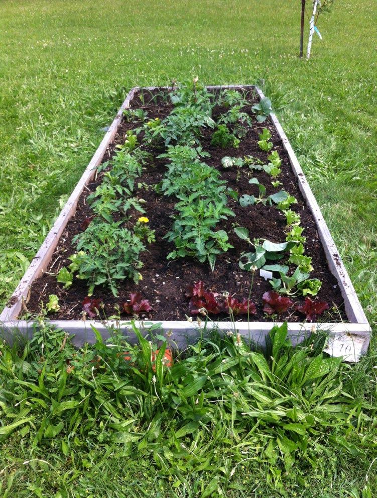 Where to Put a Raised Bed Garden Most crops require at least six hours of direct sun so it is important to site your garden in a sunny area.