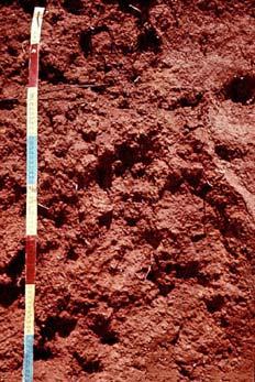 Alisols Soils with a high amount of