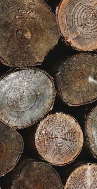 Introducing small and batch fed systems This guide describes the use of logs and wood pellets in small and batch fed systems.