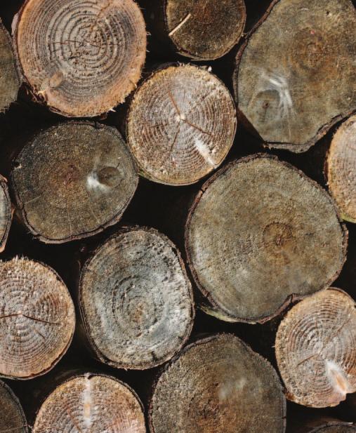 Log boilers Log boilers are fuelled with logs and larger pieces of wood, including joinery offcuts.