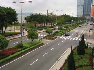 Report South Yonge Street Corridor