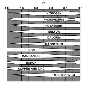 Soil ph Soil ph affects availability of the previously mentioned nutrients In general the solubility and availability of nutrients are greatest