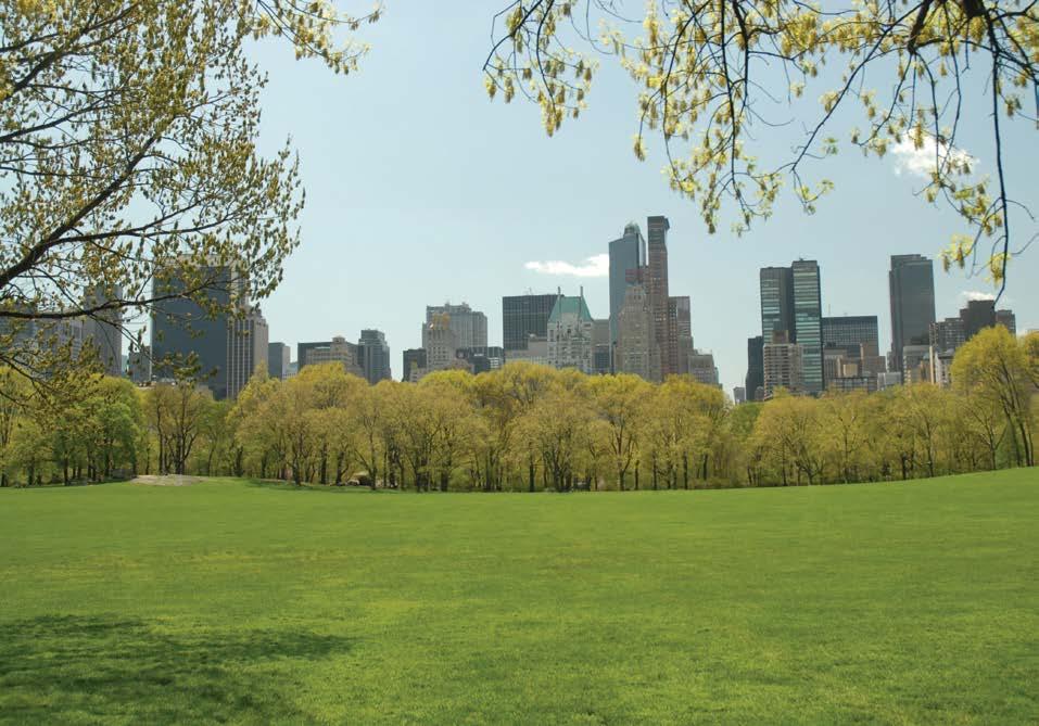 Healthy cities need healthy parks. That s one of the guiding principles behind the Central Park Conservancy Institute for Urban Parks.