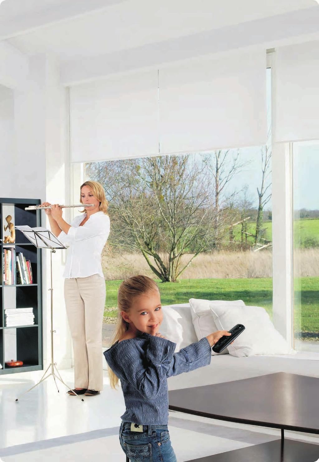Sonesse Putting your window coverings in motion...quietly Somfy now offers noise reduction technology with the Sonesse motor range.