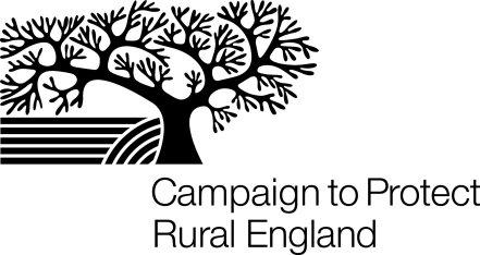 The Bigger Picture: the case for strategic planning A briefing by the Campaign to Protect Rural England September 2010 Introduction The creation of regional government has been described by the