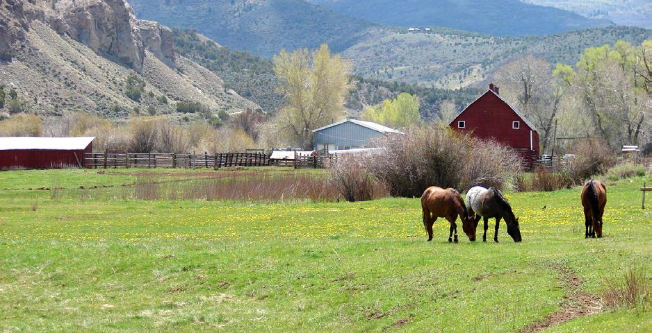 in unincorporated Eagle County; however, some properties are located within the Town s Urban Growth Boundary.