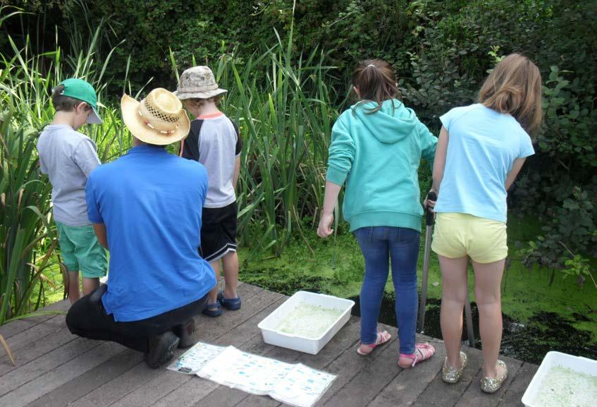 Environmental Responsibility Summer pond-dipping The Library Pond The Library Pond was adopted by