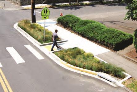 Green Streets: Safe Crossings Stormwater capture along streets