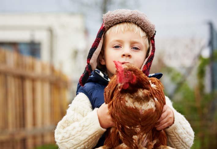 Talking about Backyard Hens WHY ARE WE HERE? We want to hear from you!