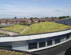 Why Greenroofs?