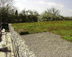 Technical Services At Sky-Garden our sales team are trained to offer practical advice and guidance to assist you in understanding and designing your Greenroof project.