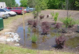 size of a rain garden? Rain gardens can be just about any shape or size. However, to be most effective a rain garden should to be tailored to catch the desired amount of runoff.
