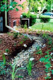 Many rain gardens are kidney bean shaped with the largest side facing the source of runoff. The shape of a rain garden however, is not a critical factor.