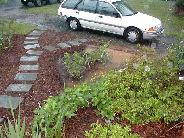 your yard, by using your runoff as a water