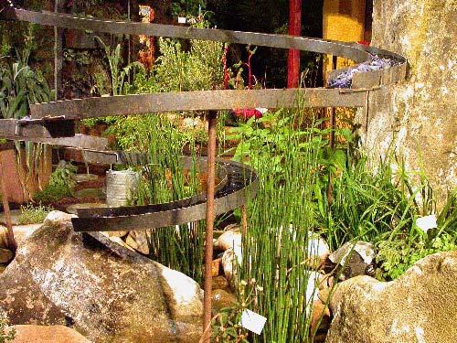 Here are some examples of unusual rain garden