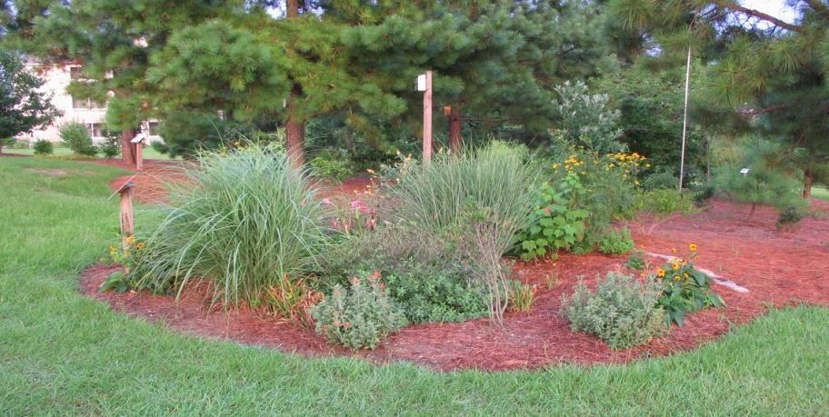 Steps to sizing a rain garden: 1. Determine the watershed boundaries (i.e. delineate ) 2.