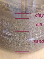 Texture The relative proportions of three basic particle sizes sands silts clays Loams contain all three size classes in equal proportions Affects soil porosity,