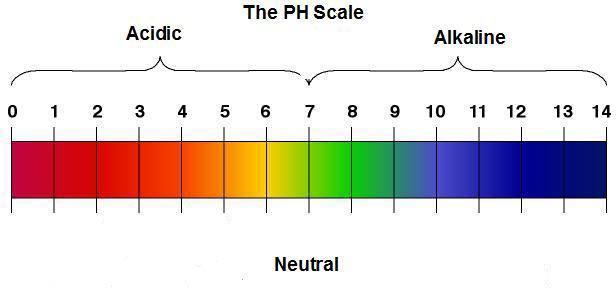 ph Soil Reaction ph is a measure of free hydrogen
