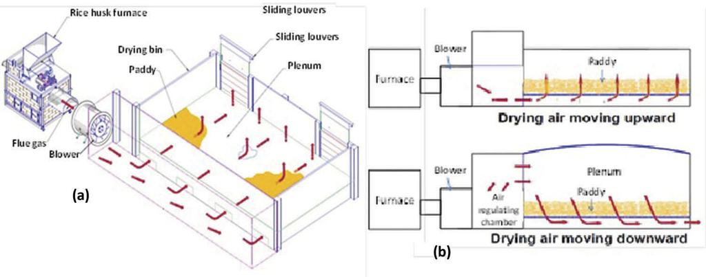 PLANT PRODUCTION SCIENCE 3 Figure 1. Flatbed dryer (FBD) showing the schematic diagram (a) and principle schema of drying airflow directions moving up- and down-ward (b).