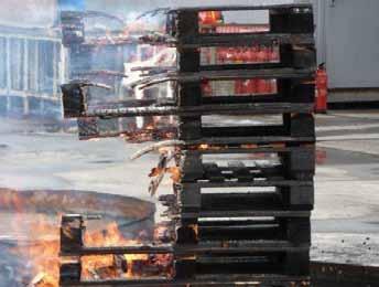 FCA-A-W/F-BIO REIGNITION TEST: PALLET FIRE 9 pallets set