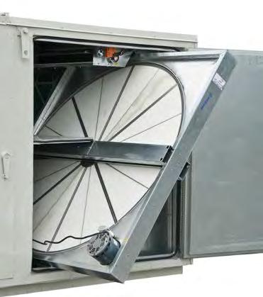 Direct Drive Backward Curved Plenum Fans are more energy efficient, quieter, and require less maintenance than belt driven fans.