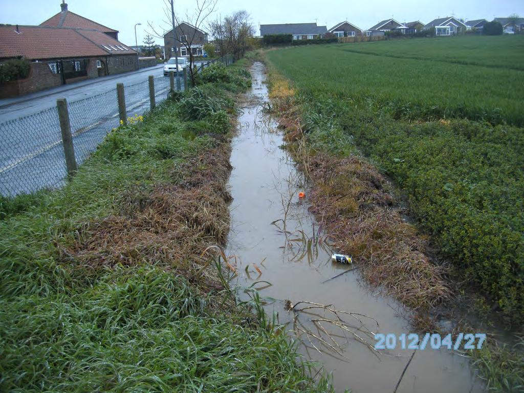 PHOTOGRAPH OF FLOODING ALONG THE SOUTH OF SITE HA 21 Photograph taken on