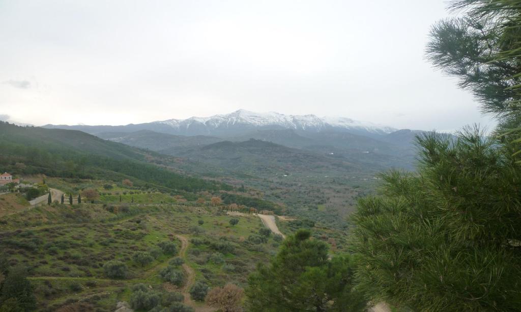 View to Taygetus Mountain