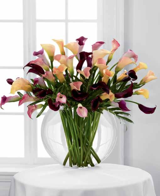 LX73 intrigue 9 Blush Hydrangea blooms 7 Pink Oriental Lily stems 6 Pink Asiatic Lily stems 1 14" Tapered Glass Vase (#LUX-Taper) Approx. 38"h x 28"w DELIVERED SRP $234.