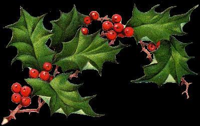 3:00 PM and again at 6:00PM 8:00 PM. Cost for the class is $20.00. Holiday Greenery will cover favorite holiday plants,