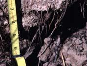Group 1d Soils. Inundation above the surface.