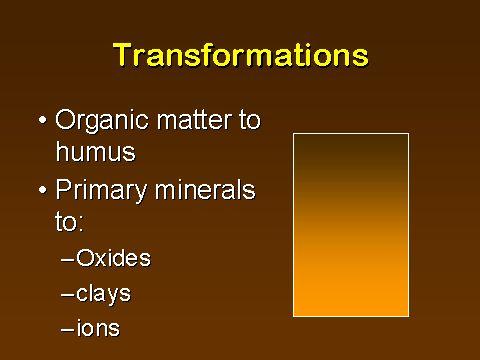 Secaondary minerals (Fe,