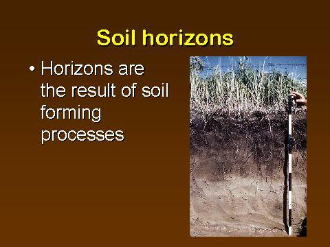 PROCESS OF SOIL FORMATION The layers in soil, called soil horizons, develop their characteristics not only because of the geological materials at a given site, but also because of soil