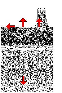 2. Removal materials removed by erosion ; wind, water, ice, gravity dissolved and suspended material may be leached out from the bottom of a soil profile uptake of nutrients from the soil by plants