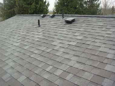 1(Picture) Roof