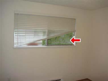 Recommend contacting a licensed window contractor to replace the failed thermal seals