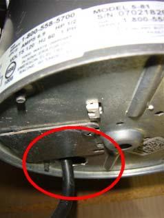 Recommend rerouting the drain line above the bottom of the sink, and then into the garbage disposal, consulting the manufacturers' installation instructions to determine if a check valve is installed