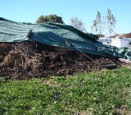 bin, piles can do fine A roof/ tarp gives control over moisture Durable slab Ellen Phillips May be