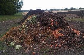 Culls and other food/ produce waste Problems High moisture content resulting in wet pile and large amount of leachate Sometimes hard, thick shells, rinds, etc.