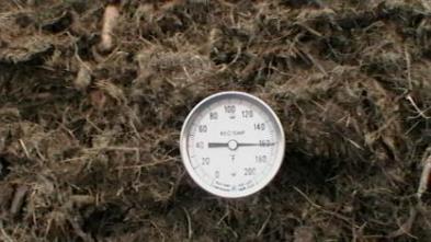 Temperature Moisture moderates wide swings in temperature Monitor with a compost thermometer OPTIMAL temperature 130 F 150 F heat-loving (thermophilic)