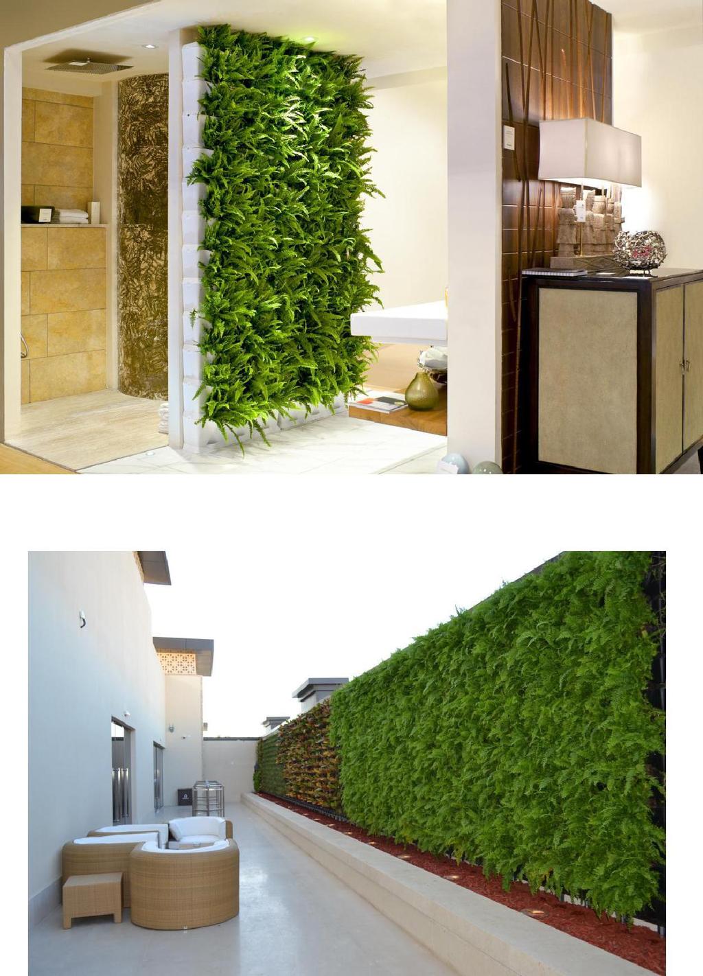 Green wall / Vertical