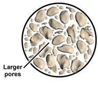 the largest pore spaces?