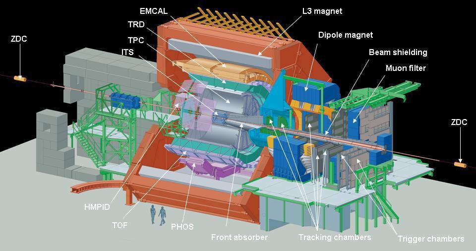 Silicon Drift Detector of ALICE ALICE experiment @ LHC Detector