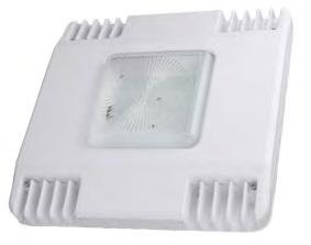 CANOPY LIGHTING ASTA EKO IP65 LED CANOPY LIGHT REPLACING TRADITIONAL METAL HALIDE AND MERCURY VAPOUR LAMPS NANOTECH PRO-FOCUS VEET ESS APPROVED PRO-BEAM FLEXITECH APPLICATIONS Constant current input